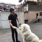  ,   Ash, 28 ,   ,   