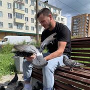 ���������� ������, ���� ������� ��������, 34 ����, ������������ ��� ������, ����� � ���������