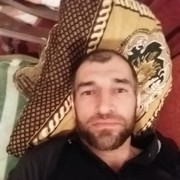  ,  SULTAN, 41