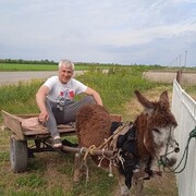 ���������� ���������, ���� ������� �������, 41 ���, ������������ ��� ������, ����� � ���������