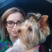  ,   , 34 ,  