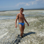  ,   Semen, 37 ,   