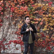 ���������� �����������, ���� ������� �����, 29 ���, ������������ ��� ������, ����� � ���������, c�������� ���������, ���������