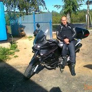 ���������� ������, ���� ������� ���������, 49 ���, ������������ ��� ������, ����� � ���������, c�������� ���������, ���������