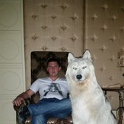  ,  Vova, 34