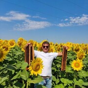 ���������� ������, ���� ������� ����, 55 ���, ������������ ��� ������, ����� � ���������