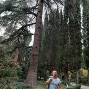 ���������� �����������, ���� ������� ����, 33 ����, ������������ ��� ������, ����� � ���������, c�������� ���������