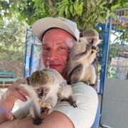  ,   , 53 ,   ,   