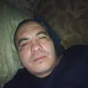 ���������� ������������, ���� ������� Robert, 38 ���, ������������ ��� ������, ����� � ���������