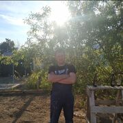 ���������� �����������, ���� ������� ������, 37 ���, ������������ ��� ����� � ���������, c�������� ���������