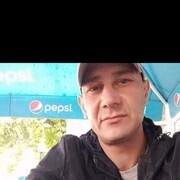 ���������� �������� ����, ���� ������� Timur, 40 ���, ������������ ��� ������, ����� � ���������, c�������� ���������