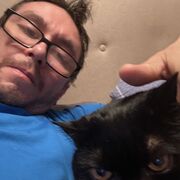 ���������� �������, ���� ������� �������, 40 ���, ������������ ��� ������, ����� � ���������, c�������� ���������