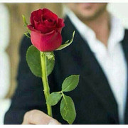 ���������� ������, ���� ������� Vemir, 34 ����, ������������ ��� ������