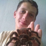  ,   , 37 ,   , 