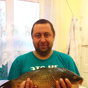 ���������� �������, ���� ������� ������, 48 ���, ������������ 