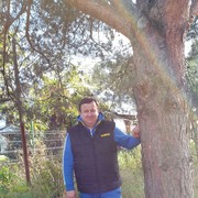 ���������� ������, ���� ������� ����, 61 ���, ������������ 