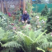 ���������� �������, ���� ������� Edgar, 39 ���, ������������ ��� ������, ����� � ���������, c�������� ���������