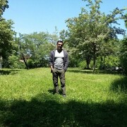  ,   Orxan, 41 ,     , c , 