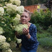  ,   , 55 ,     , c , 