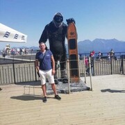  ,   , 49 ,   ,   , c 