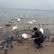  ,   , 44 ,     , c 