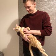 ���������� �����-���������, ���� ������� ����, 28 ���, ������������ ��� ������