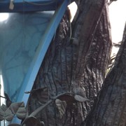 ���������� ���������, ���� ������� ������, 35 ���, ������������ ��� ������, ����� � ���������, c�������� ���������