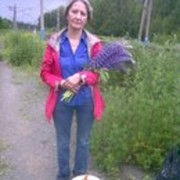  ,   , 65 ,   ,   , c 