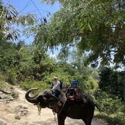 ���������� ������������, ���� ������� ����, 36 ���, ������������ ��� ����� � ���������, c�������� ���������, ���������