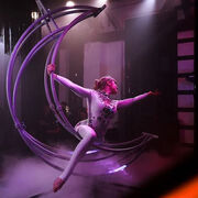 ���������� ������, ���� ������� ����, 22 ����, ������������ ��� ������, ����� � ���������, ���������