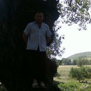  ,   Ded75, 50 ,   