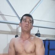 ���������� �������, ���� ������� Brat, 29 ���, ������������ ��� ������, ����� � ���������