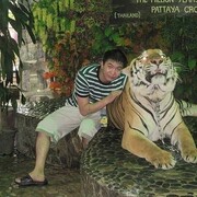  ,   SHANS, 41 ,   ,   