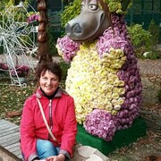  Olkusz,   , 59 ,   ,   , c 