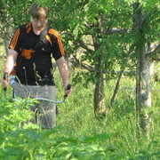 � �������