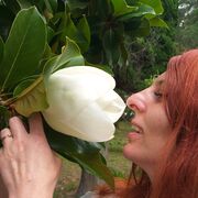 ���������� ����������, ���� ������� ����, 51 ���, ������������ ��� ������, ����� � ���������, c�������� ���������, ���������