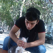 ���������� ������, ���� ������� Llll, 36 ���, ������������ ��� ������