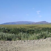 ���������� ���������, ���� ������� ������, 29 ���, ������������ ��� ����� � ���������, c�������� ���������