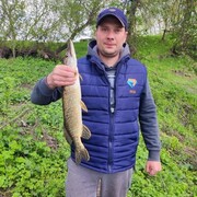 ���������� ������, ���� ������� �����, 37 ���, ������������ ��� ������, ����� � ���������