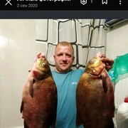  ,   , 44 ,   c 