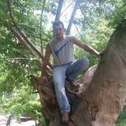 ���������� ���������, ���� ������� ����, 44 ����, ������������ ��� ����� � ���������, c�������� ���������