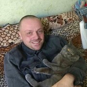   ,   , 49 ,  