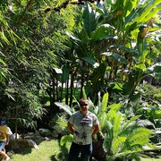  ,   , 46 ,   ,   , c 