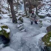 ���������� ���������, ���� ������� ��������, 37 ���, ������������ ��� ������, ����� � ���������