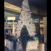 ���������� ������, ���� ������� �������, 63 ����, ������������ 