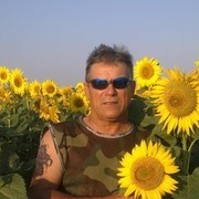  ,   , 62 ,   