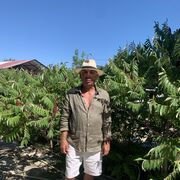 ���������� ������, ���� ������� ������, 62 ����, ������������ ��� c�������� ���������