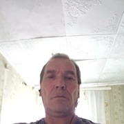  -,  , 66