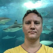 ���������� �������, ���� ������� ��������, 29 ���, ������������ ��� c�������� ���������