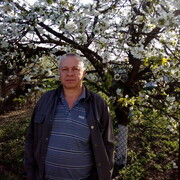 ,   , 65 ,   c 